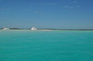 SYP Paradise Horizon