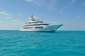 SYP Paradise Horizon