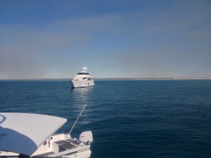Bertram Boat