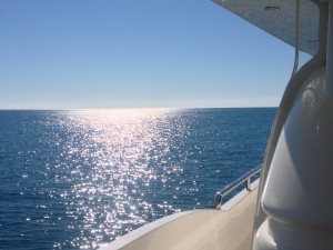 Bertram Boat