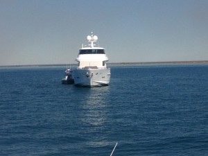Bertram Boat
