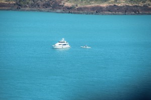 Bertram Boat