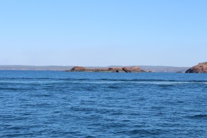 Bertram Boat