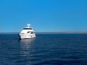 SYP Paradise Horizon