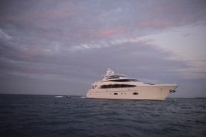 SYP Paradise Horizon