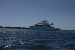 SYP Paradise Horizon