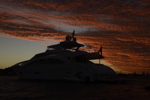 SYP Paradise Horizon