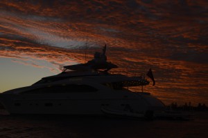 SYP Paradise Horizon