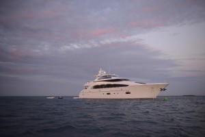 SYP Paradise Horizon