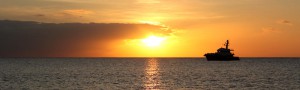 cat_head_dinner-cruise