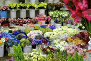 Flower Market