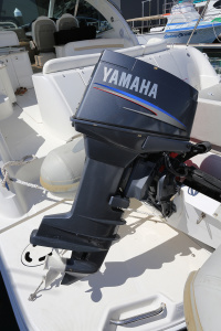 Sea Ray 515