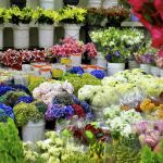 Flower Market